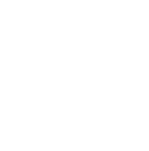 Morning Bird